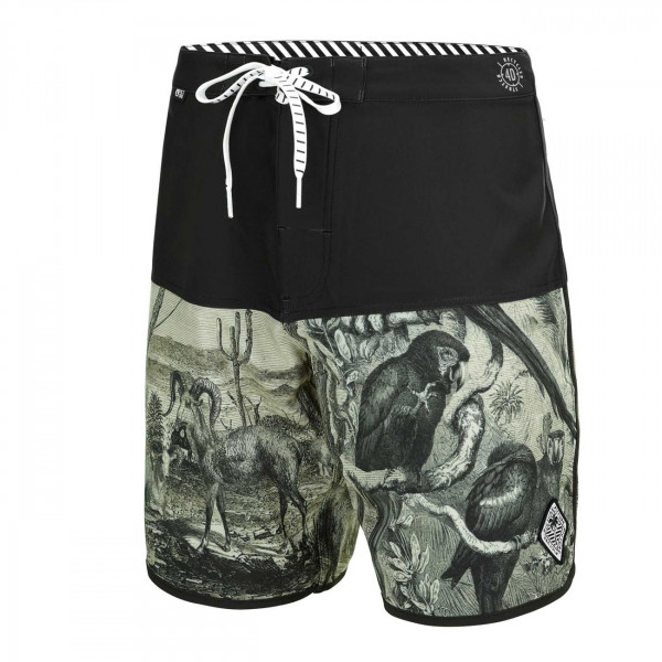 Picture Andy 17 Boardshort 2019